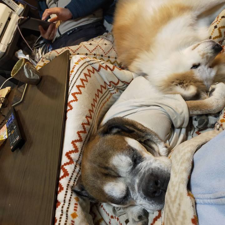 4ceea34e ec9c 4979 aa14 8c71613b5c5a 1646138823795