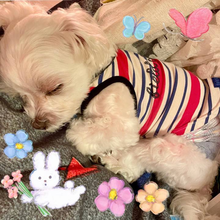 4ceea3be 8d47 4486 87ba d426a5dde87d 1619005557931