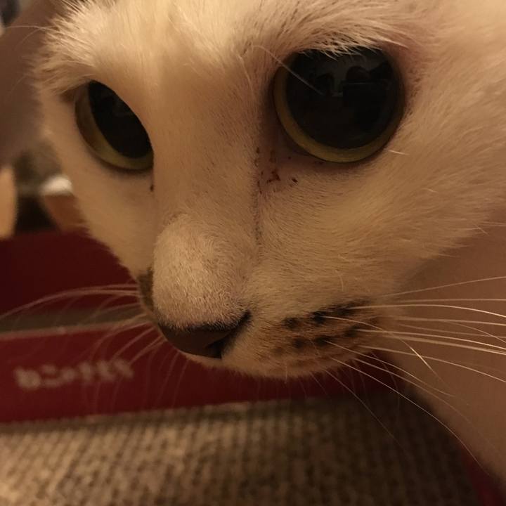 4ceea669 336c 4c72 aa17 b7c18fe1870b 1554904004782