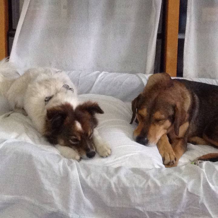 4ceef865 371c 4493 91a6 78bf94441b26 1515900073123