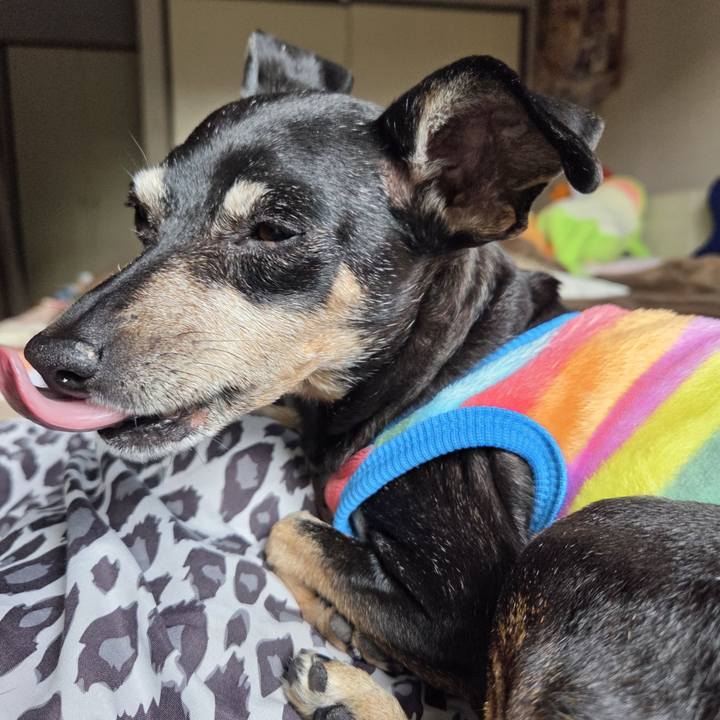 4cef0213 b697 4605 af46 a2001ec414ad 1762405216420