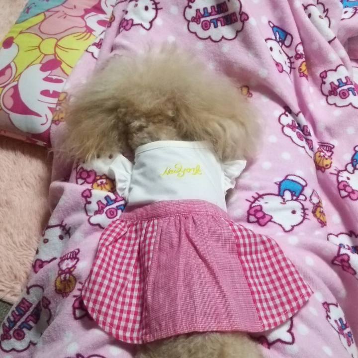 4cef0a84 f5b7 4d46 b912 747dded7b308 1561293938271