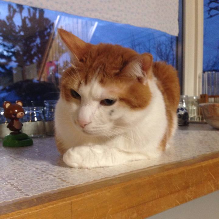 4cef15ec 19aa 496a 8a5a 4d64f1e57cf7 1513287416495