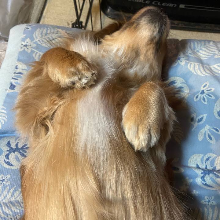 4cef177f 25cf 4ca1 add2 0dfaec1a8508 1608181196313