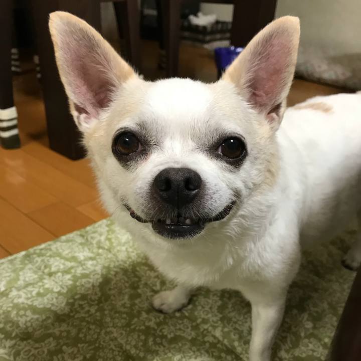 4cef2c31 a70f 4561 8d27 2b6bc58fc6e6 1533559967237