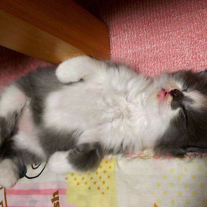 4cef6be4 f052 41a3 9520 8fe48abbbcac 1558870529322