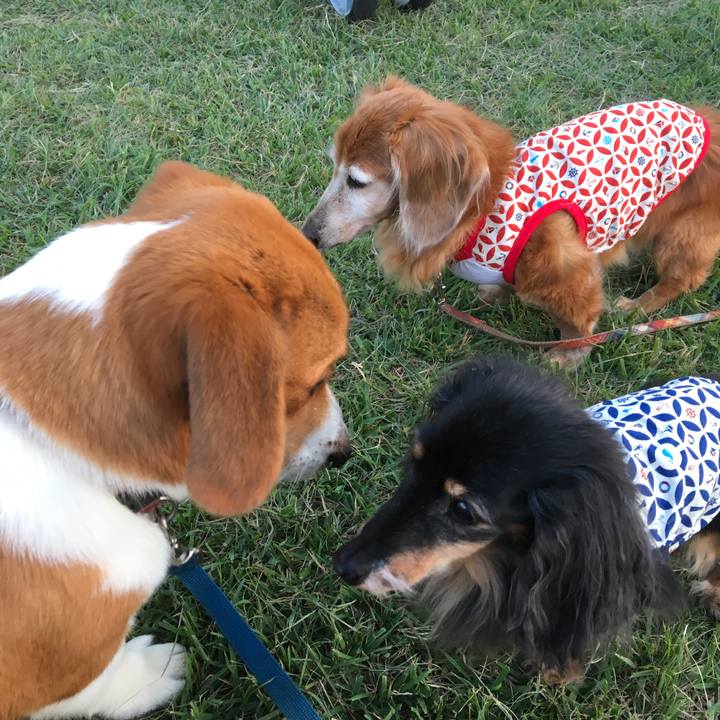 4cef8175 ef1f 4060 8b0b 776c38f346fe 1601730842001