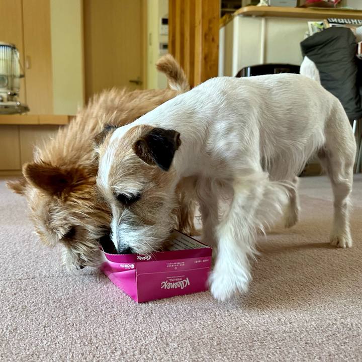 4cefbcd2 6124 40dd bf5d 41f941f08c8b 1714742869794