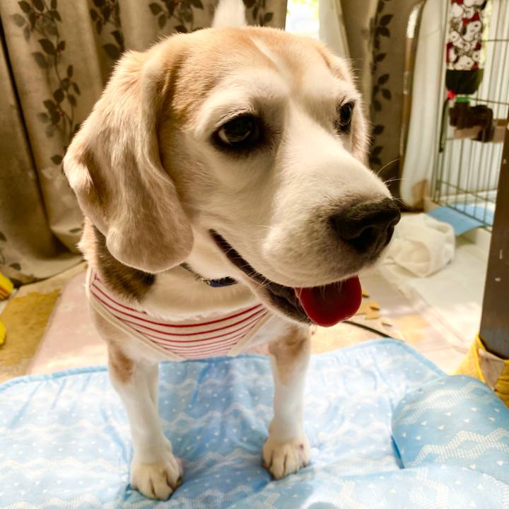 4cf024c1 f9fd 447e b02e 55809cbfcf4f 1622690942070