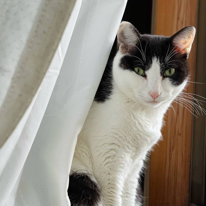 4cf04a01 3c10 4660 8cde 71bcf89dbfec 1644370011372