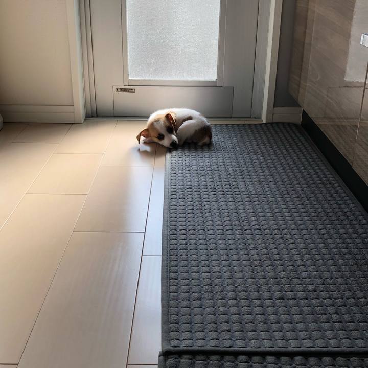 4cf08d52 eab9 4309 8b3a 2241a2e7a63c 1544248924223