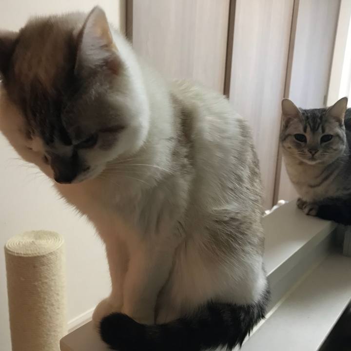 4cf0d132 e805 4338 a500 ed5db0f9c3a4 1515970044907