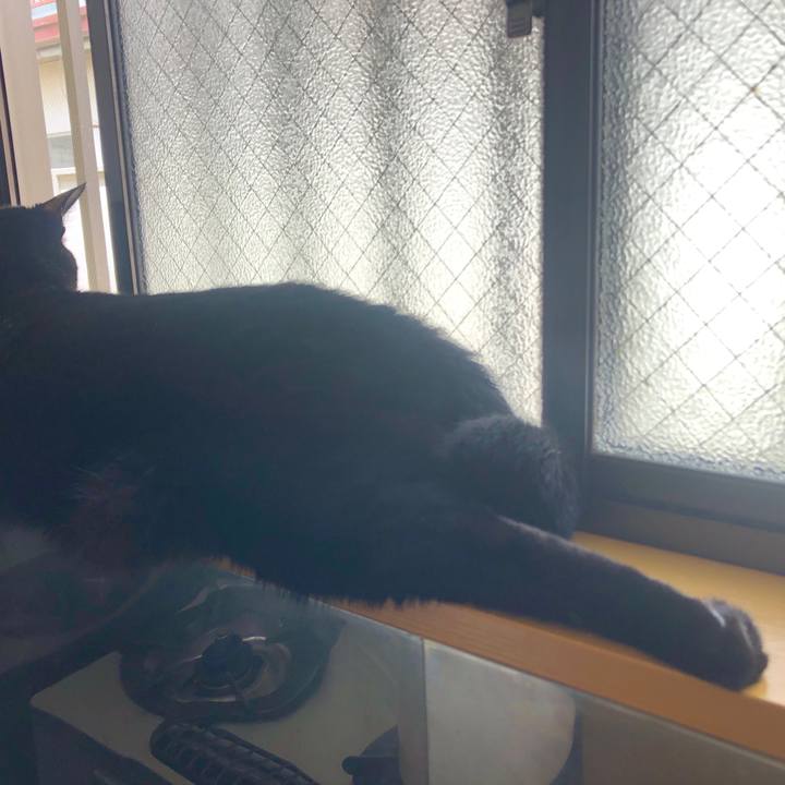 4cf12c81 169d 445d b432 fb7beb905b98 1592621612195