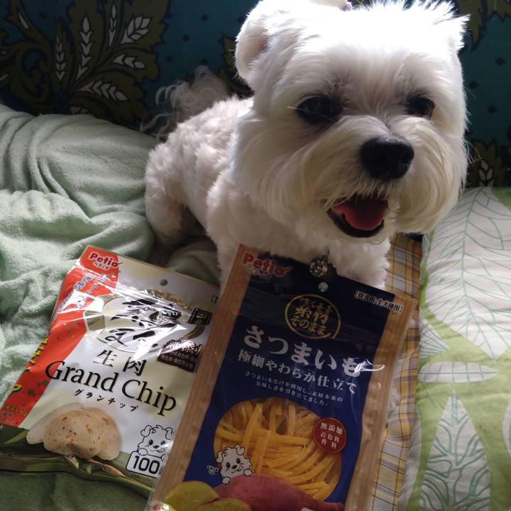 4cf16303 4b80 43f3 a3f6 c68c38157de2 1695734357643