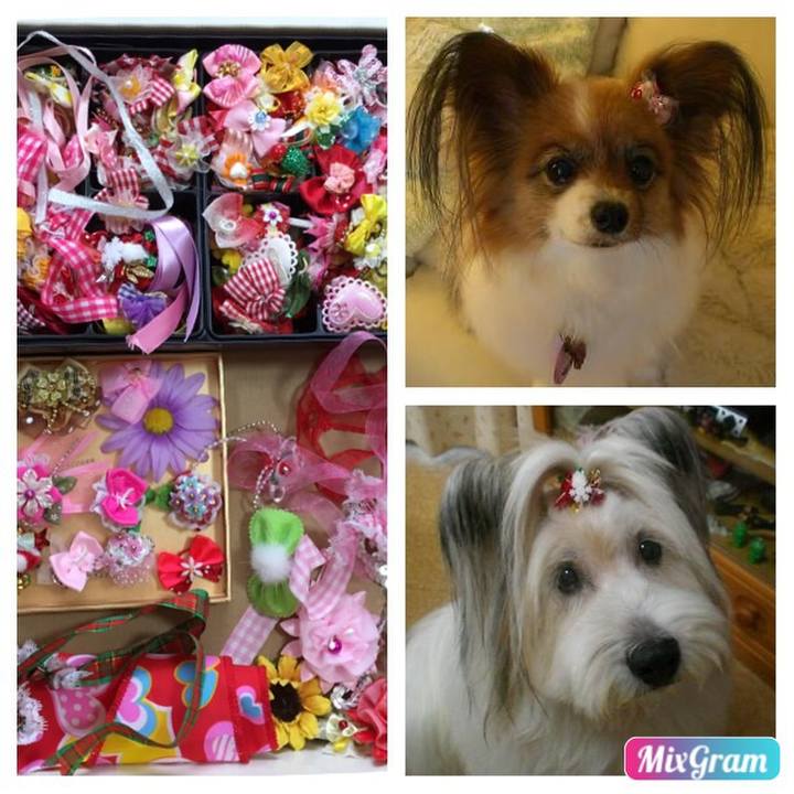 4cf17639 74de 4920 94ed 4e8be91f6848 1523799559804