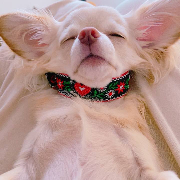 4cf1c55f abc5 4bf5 bcf5 710e7a1e65c8 1627371406333