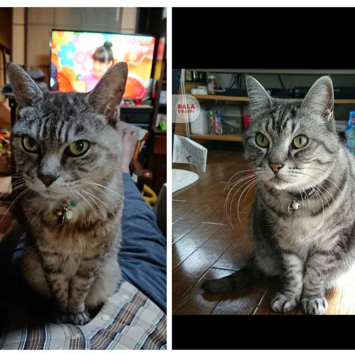 4cf20618 2aa4 43fd ae04 8881ea0db2d0 1705378409315