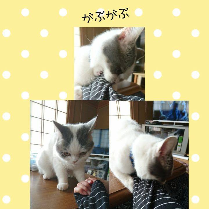 4cf20e25 8d1c 4451 bc56 05c23f267a74 1553300216909