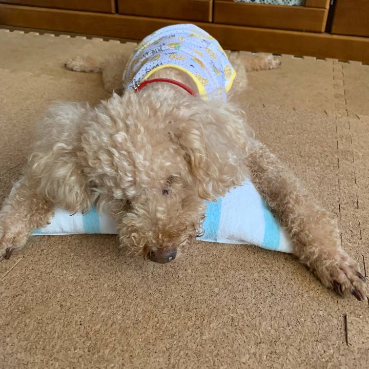 4cf215df 8203 4df0 b712 a7f631642244 1628240488163