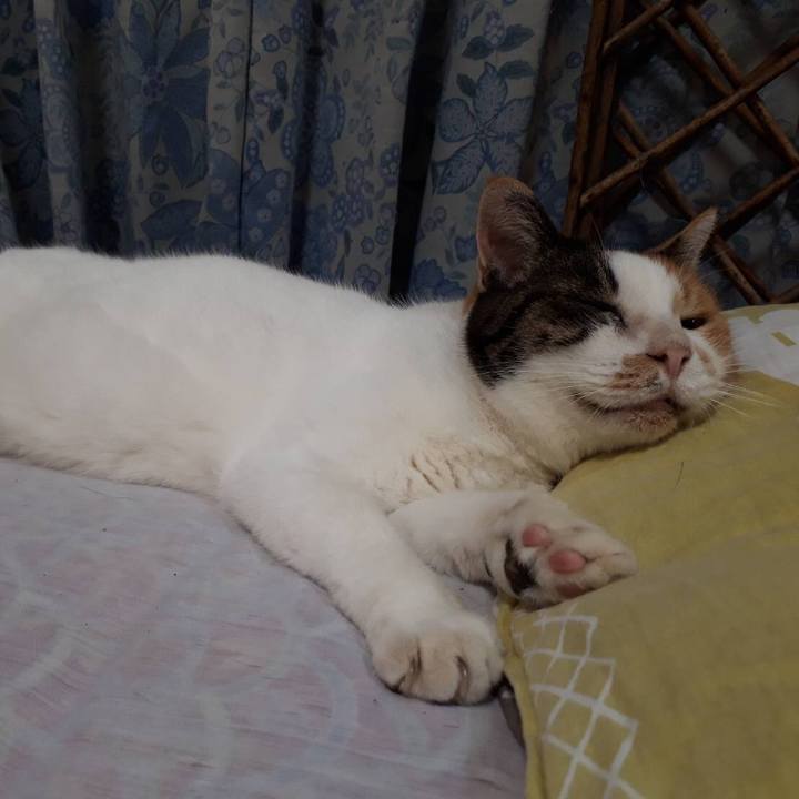 4cf281d3 59bb 4639 ab68 31f8c9e04561 1564839727155