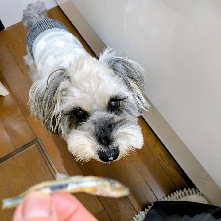 4cf29a92 c55e 46bf 99b5 fecb96b5f872 1763808532147