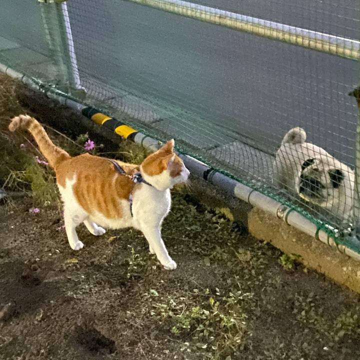 4cf2a2e4 2fd6 4430 b7b9 7766c150b028 1572182974168