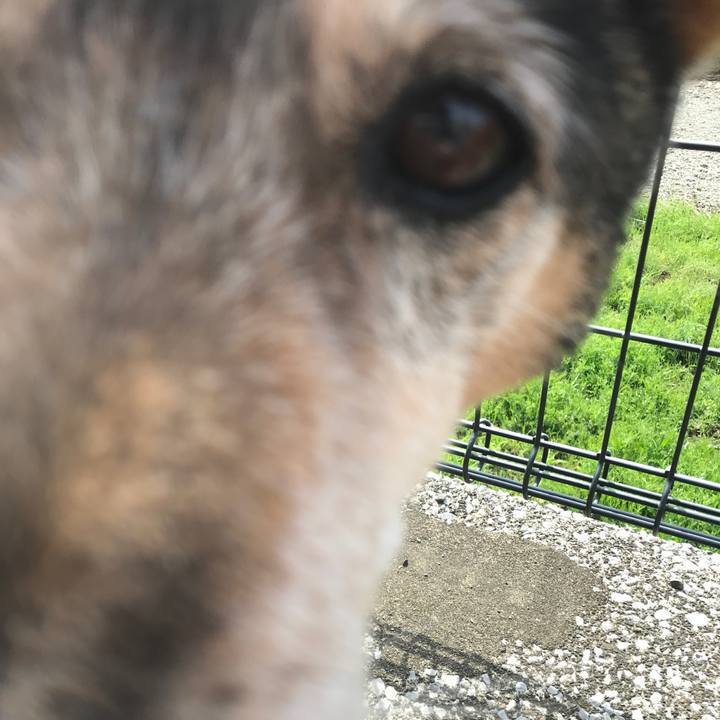 4cf2b353 93ba 444f 8650 c5f9a01e0bdd 1522048452890