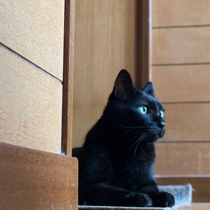 4cf2e58c 6864 4cee 8de8 3bb739fa1bcb 1663206551453