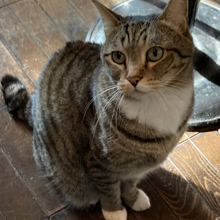 4cf30c94 fb0d 4ea9 9f57 7c5ec342ece0 1769408817774