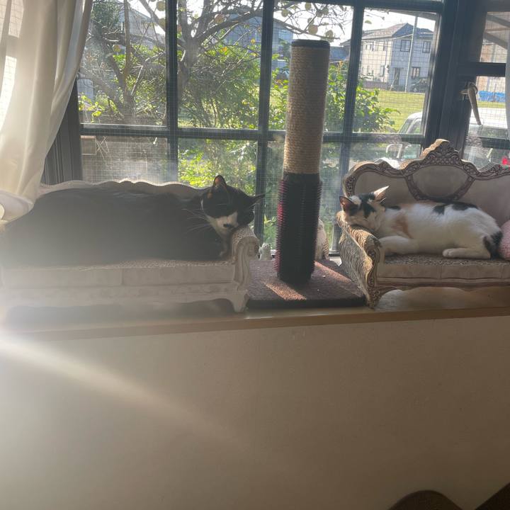 4cf30f11 5fa9 4e9a 9c18 51f8222c6683 1697150198183