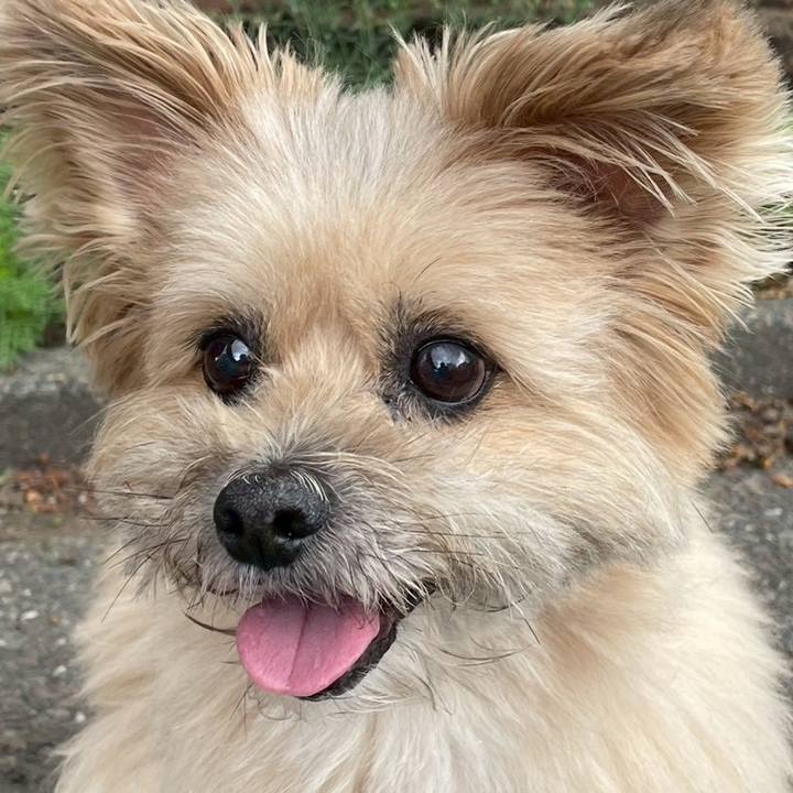 4cf32071 7791 440f 8cba 56bf9d0140fb 1750058474352