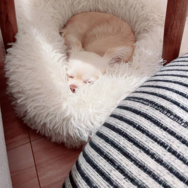 4cf37a1d 3c96 4632 86b9 e81e209ec591 1711713674476