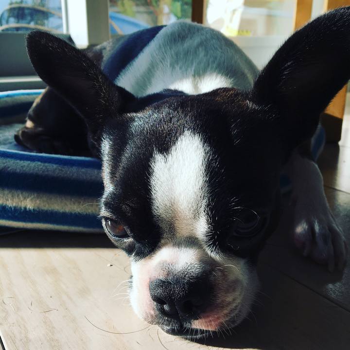 4cf38102 db61 4729 a650 67ee66f8253f 1510710535080