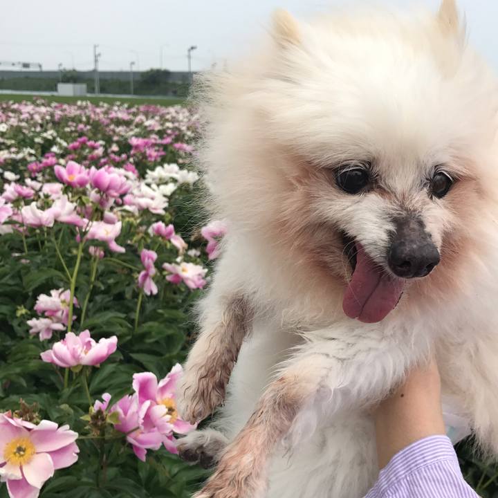 4cf38e8e 3c54 470d 99ca 6e051ae4964e 1527300770214