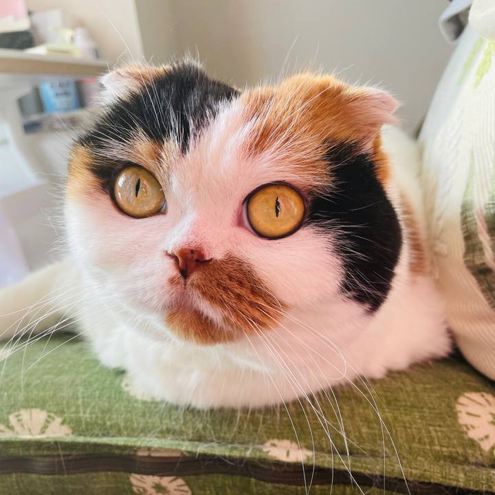 4cf39b86 dd47 4d3a 85c0 c047de123b49 1611536632514