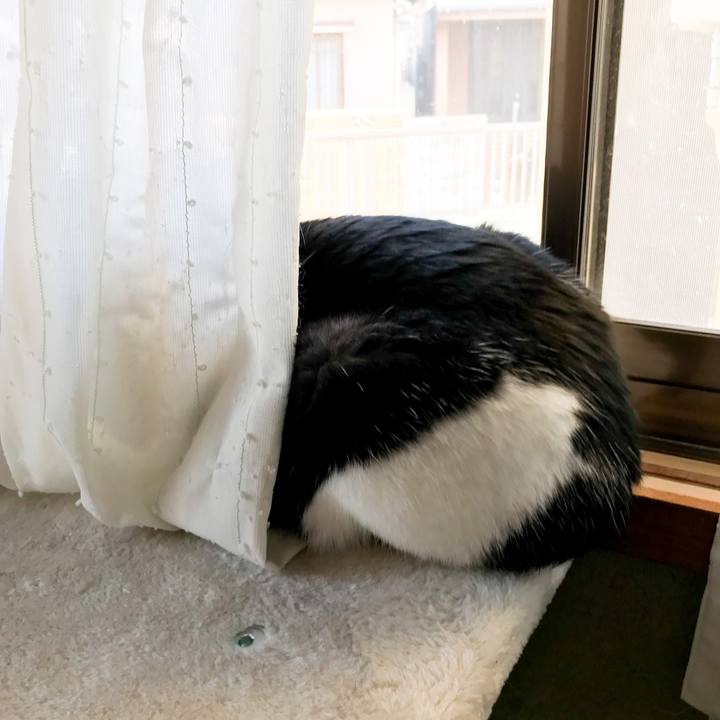 4cf3bba9 f108 4894 902b c30c05983139 1521729446245