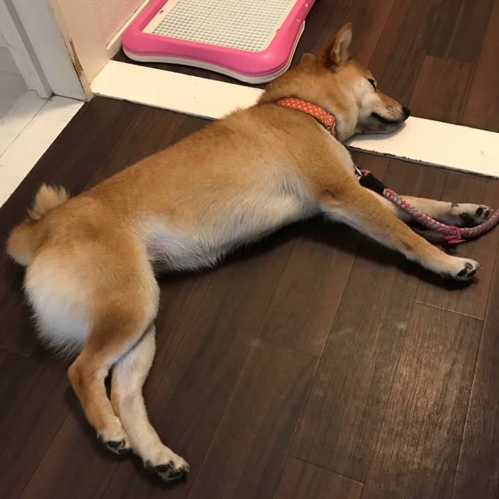 4cf3edd7 2ae7 457c 86ec 7cf7d9f68d03 1532356202386