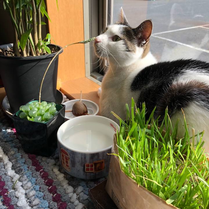 4cf3f3f2 15b4 4de2 a8b2 f07217248b8b 1682031978582