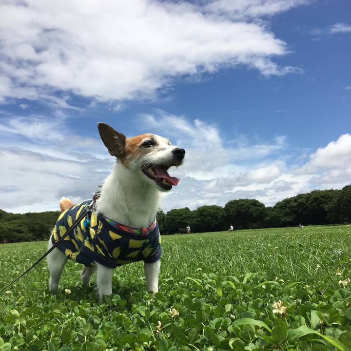 4cf3f641 f958 47d7 b5f4 98497e922d57 1658102357388