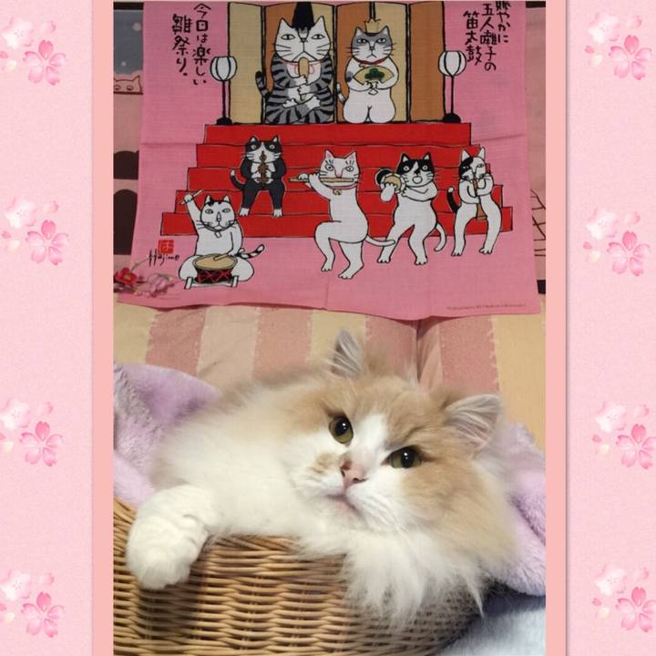 4cf42243 af7d 4e9d 80e8 9e417d74b437 1551607023338