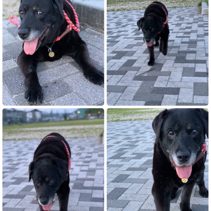 4cf42e4c e67b 49ed 9b60 c624993c49c9 1626695878627