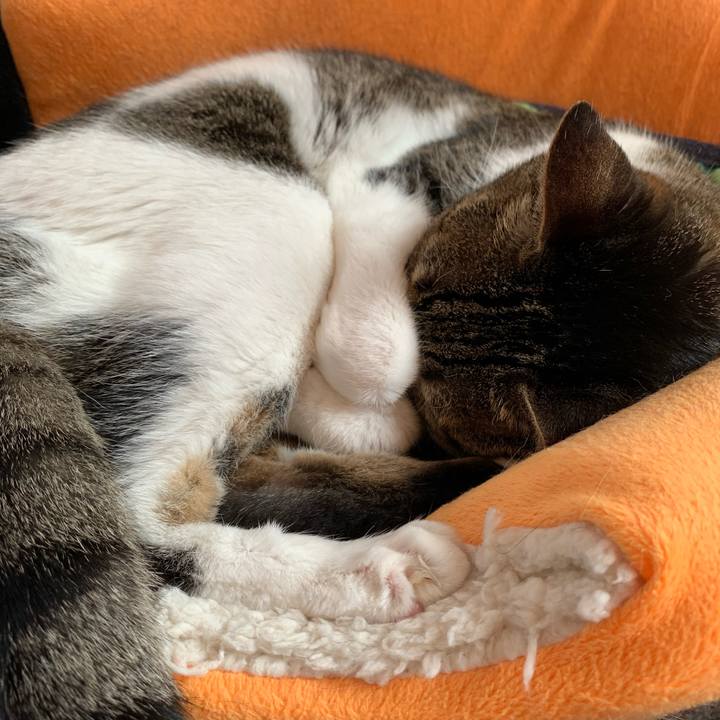 4cf4520e 7eaa 41e6 92b8 0b1f9e20e136 1569374336697