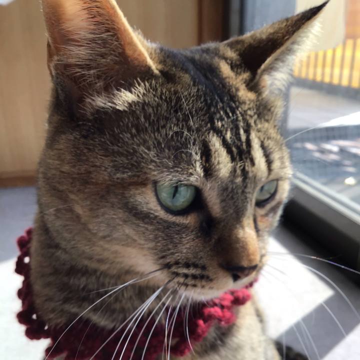 4cf45312 56ae 4de3 b22f d64a539edc6f 1615428027055