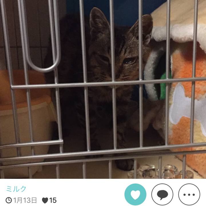 4cf460ed b1e6 4e14 9dd3 bf395f6e555b 1511689695442