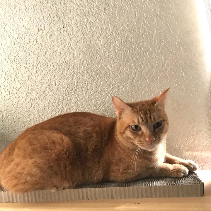 4cf49227 1e35 431e 9204 720d99eb9147 1585960864582