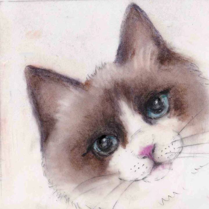 4cf4a581 a817 4254 97cd ed248f655d5e 1653704403654