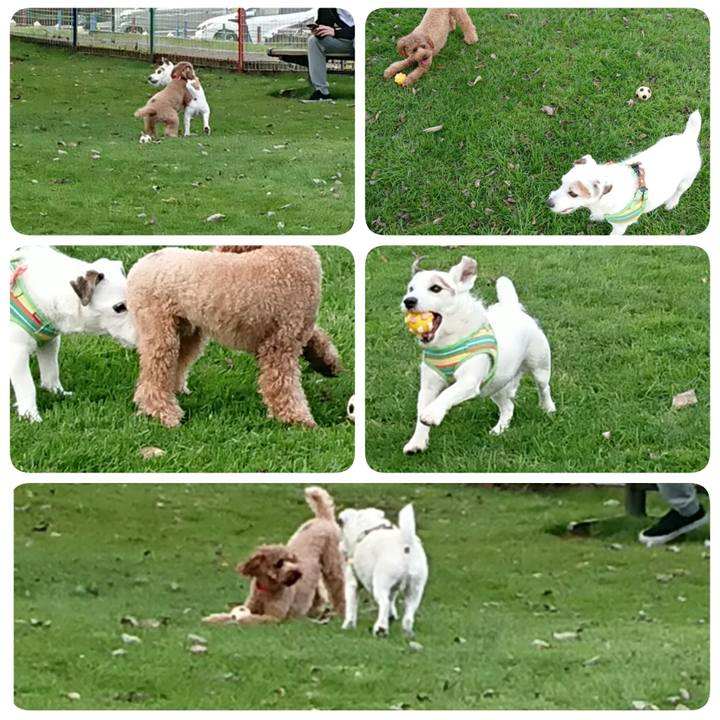 4cf4af81 2f8f 49cf 845a 8186b1786aa6 1542534761570