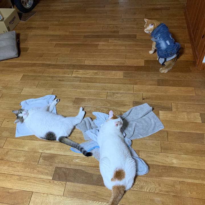 4cf4ba0e 0b74 4cb3 9487 6468501d8070 1661116809254