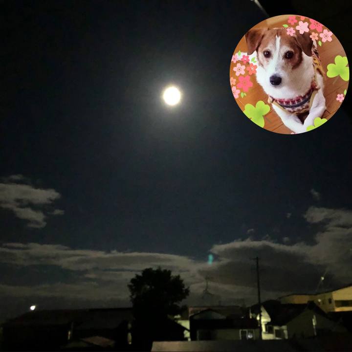 4cf4cb6e 6a0b 4ace a608 3ca5a966fd75 1565793178332