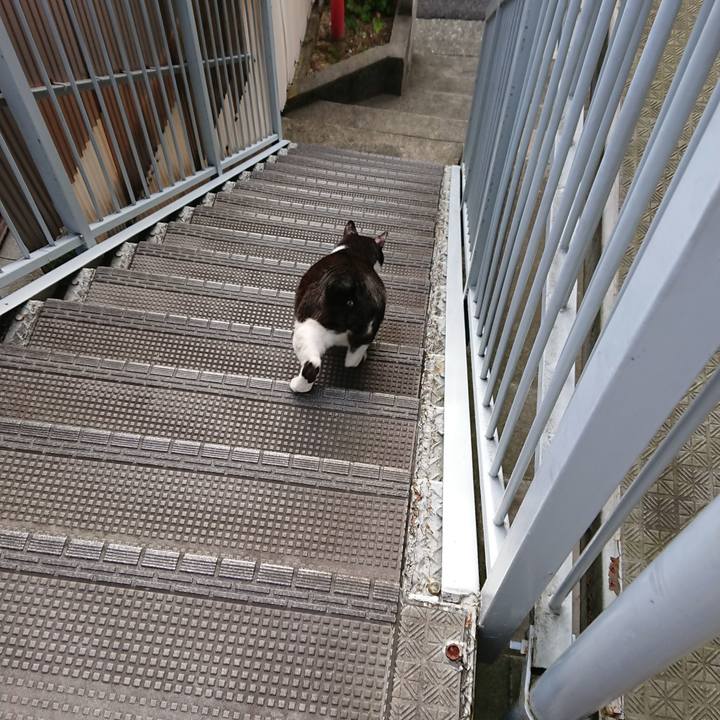 4cf4f214 883f 402e bb93 4433859fbc77 1536794337776